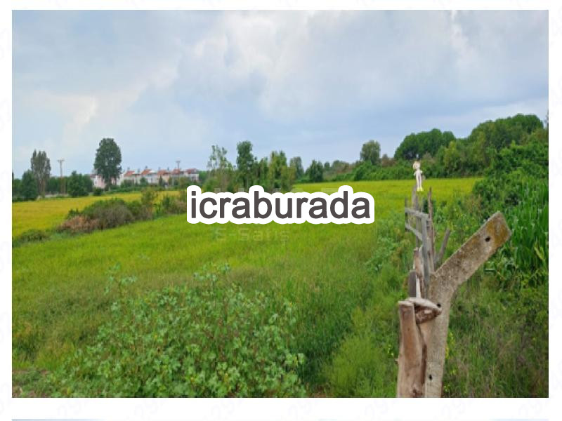 icralık  m2 Tarla Samsun Alaçam Göçkün