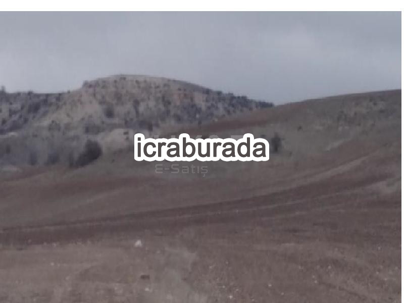 icralık  m2 Tarla Yozgat Merkez Darici