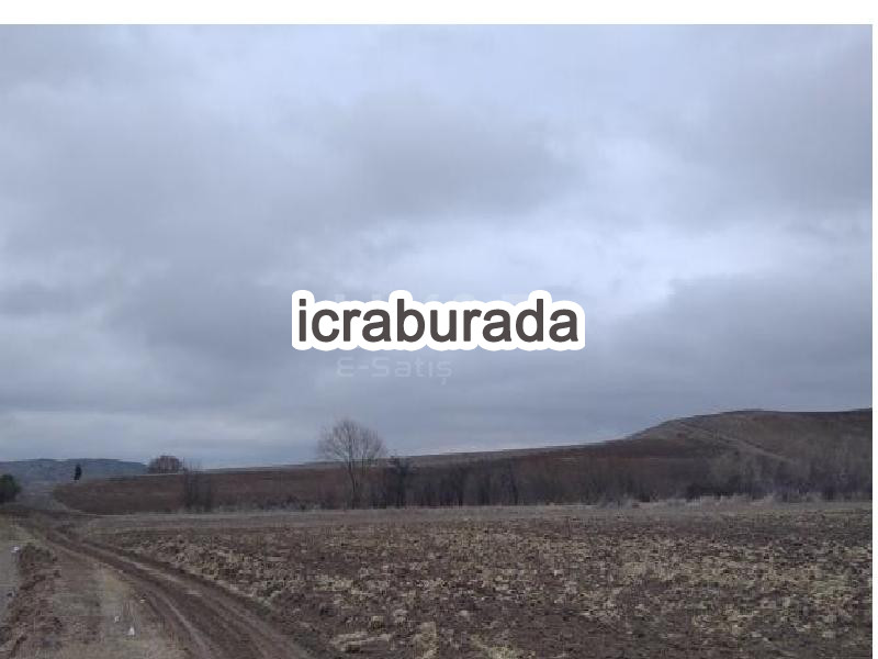 icralık  m2 Tarla Yozgat Merkez Darici