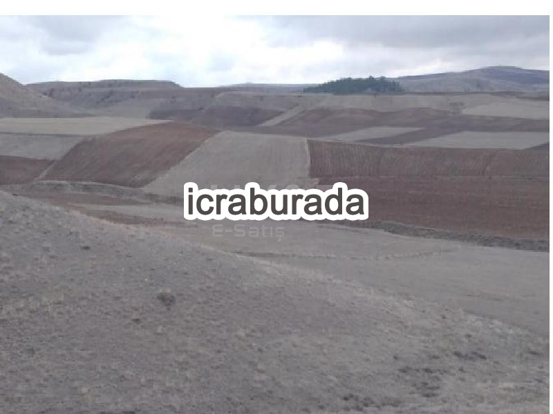 icralık  m2 Tarla Yozgat Merkez Darici