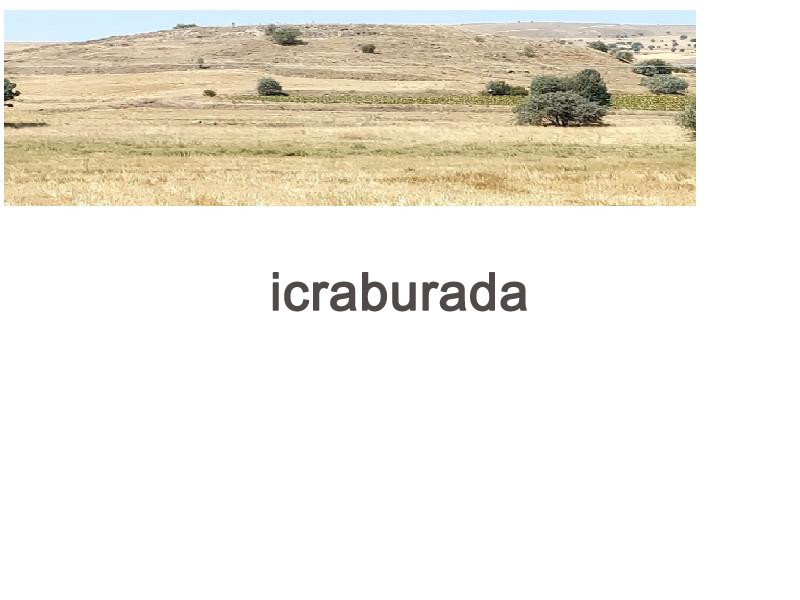 icralık  m2 Tarla Afyonkarahisar Bolvadin Kemerkaya