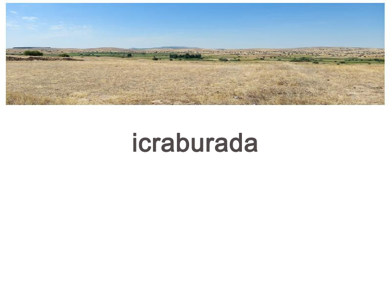 icralık  m2 Tarla Afyonkarahisar Bolvadin Kemerkaya