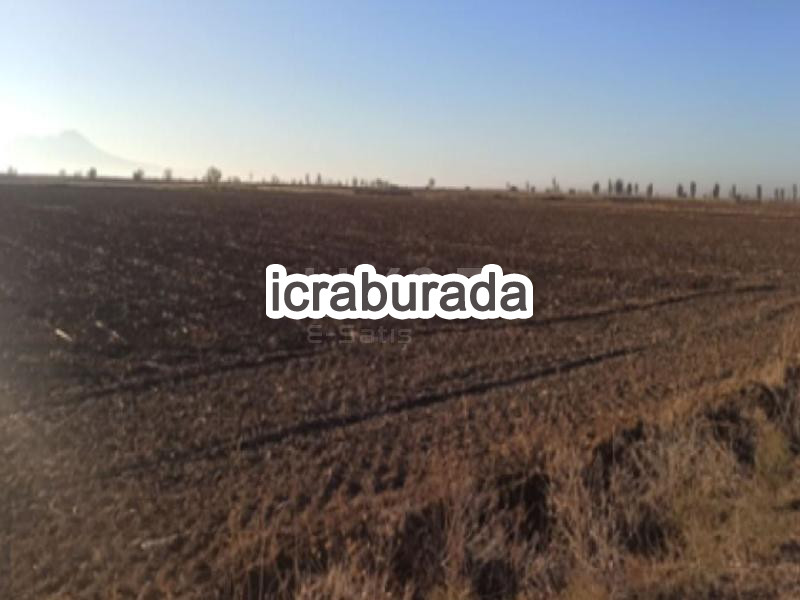 icralık  m2 Tarla Aksaray Merkez Çimeli Yeniköy