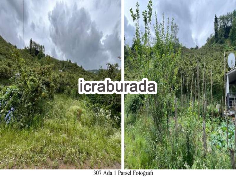 icralık  m2 Arsa Giresun Merkez Homurlu