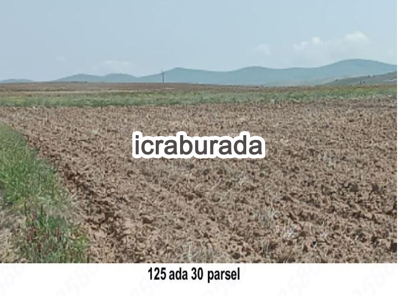 icralık  m2 Tarla Aksaray Merkez Mamasun (Gökçe)