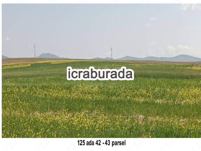 icralık  m2 Tarla Aksaray Merkez Mamasun (Gökçe)