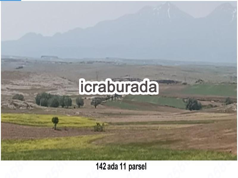icralık  m2 Tarla Aksaray Merkez Mamasun (Gökçe)