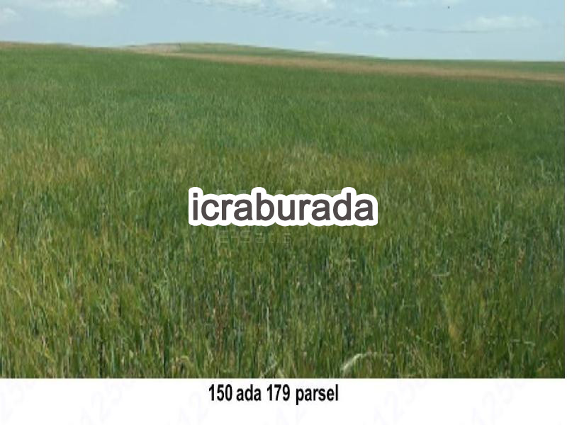 icralık  m2 Tarla Aksaray Merkez Mamasun (Gökçe)