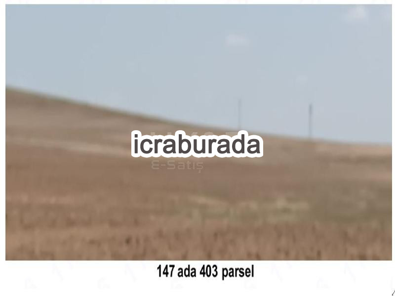icralık  m2 Tarla Aksaray Merkez Mamasun (Gökçe)