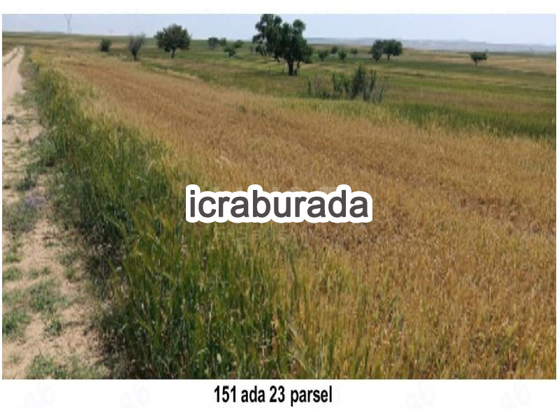 icralık  m2 Tarla Aksaray Merkez Mamasun (Gökçe)