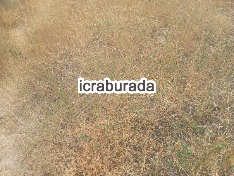icralık  m2 Tarla Erzincan Merkez Gümüştarla