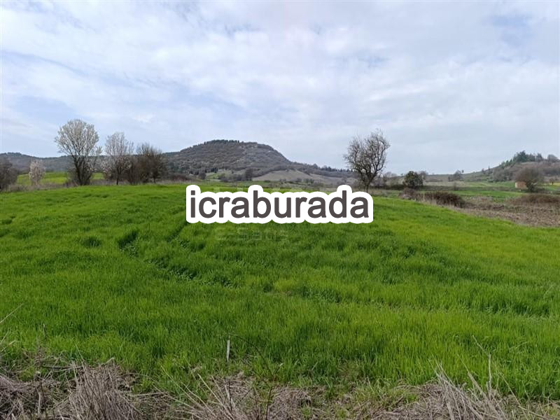 icralık  m2 Tarla Balıkesir Kepsut Şeremetler