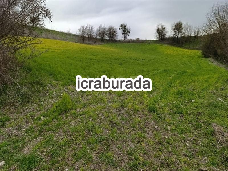 icralık  m2 Tarla Balıkesir Kepsut Şeremetler