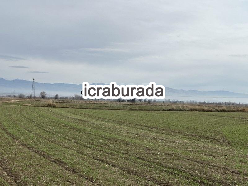 icralık  m2 Tarla Afyonkarahisar Sandıklı Oda