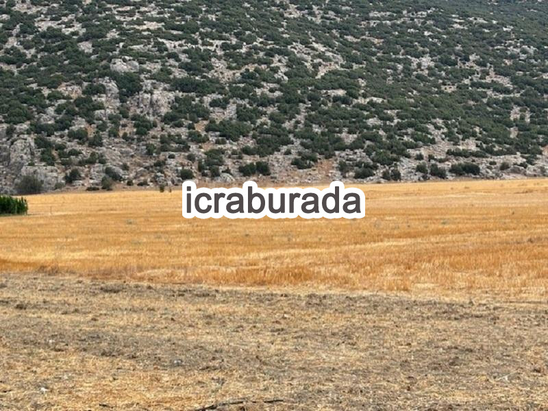 icralık  m2 Tarla Antalya Korkuteli Garipçe
