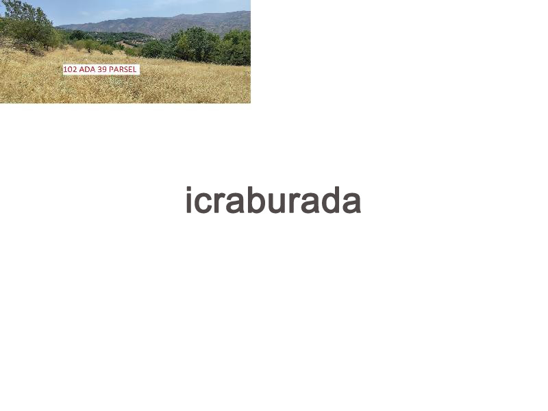 icralık  m2 Tarla Elazığ Baskil Eskiköy