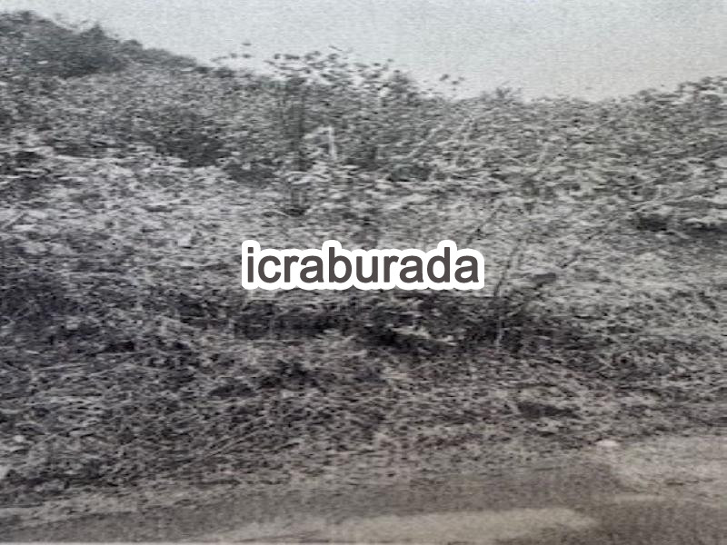 icralık  m2 Diger Giresun Dereli Kuzca