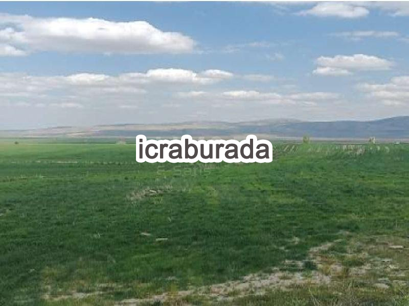 icralık  m2 Tarla Kayseri Tomarza Gülveren