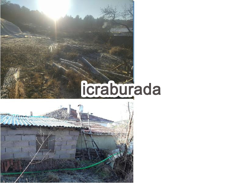 icralık  m2 Tarla Uşak Merkez Aybey