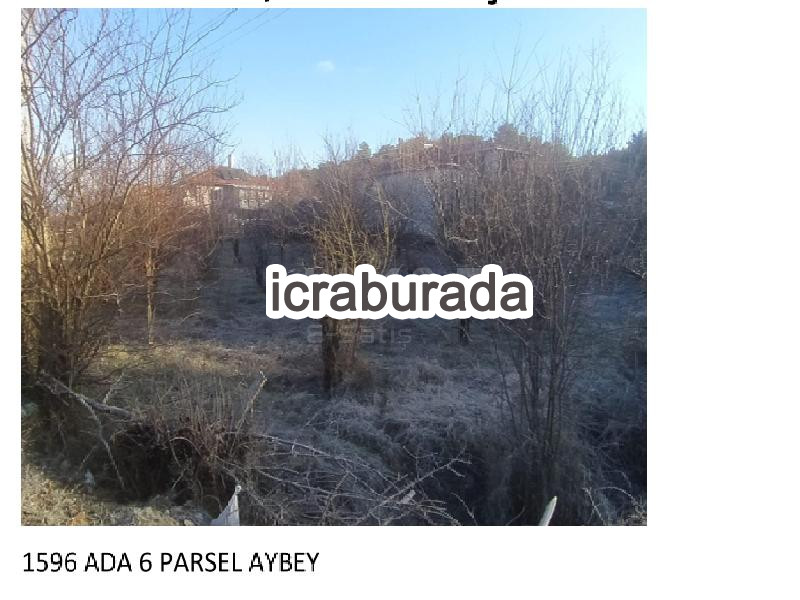 icralık  m2 Tarla Uşak Merkez Aybey