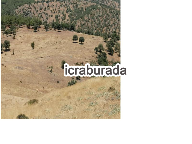 icralık  m2 Tarla Aydın Karacasu Ören(Yeşilköy)