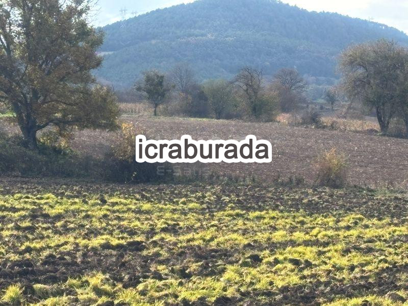 icralık  m2 Tarla Bolu Merkez Çampinar