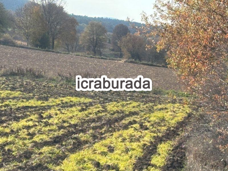 icralık  m2 Tarla Bolu Merkez Çampinar