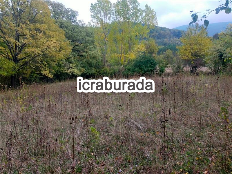 icralık  m2 Tarla Bolu Merkez Hidirşihlar