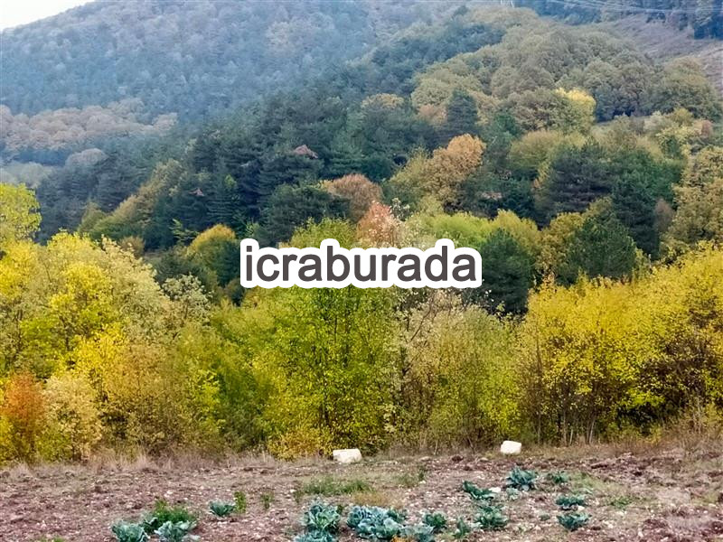 icralık  m2 Tarla Bolu Merkez Hidirşihlar