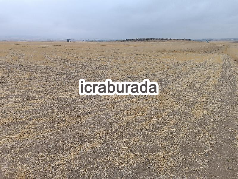 icralık  m2 Tarla Kayseri Yeşilhisar Doğanli