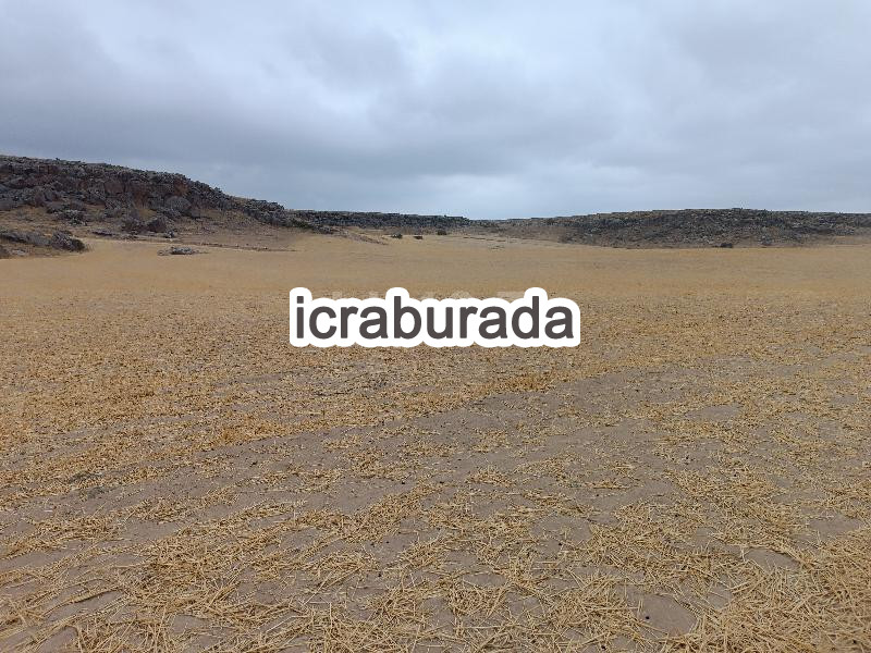 icralık  m2 Tarla Kayseri Yeşilhisar Doğanli