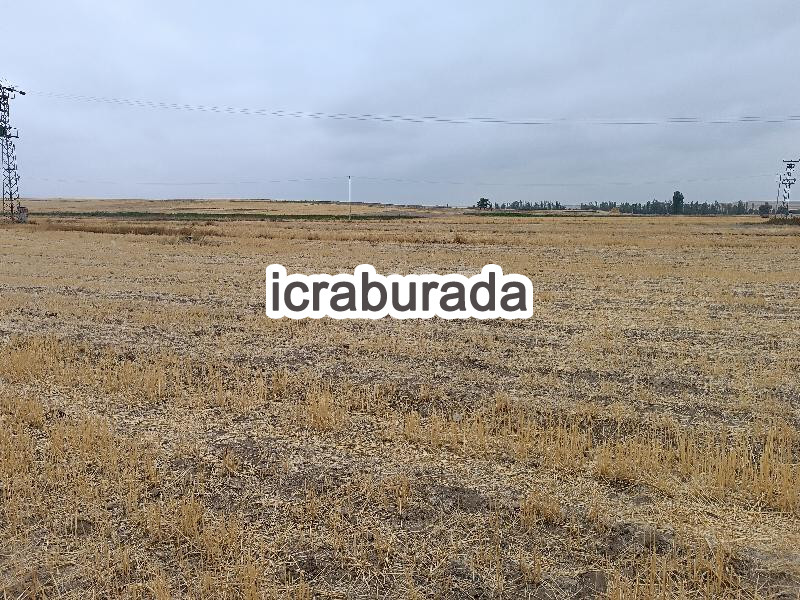 icralık  m2 Tarla Kayseri Yeşilhisar Doğanli