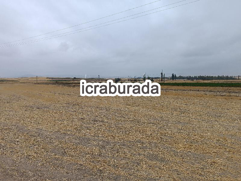 icralık  m2 Tarla Kayseri Yeşilhisar Doğanli