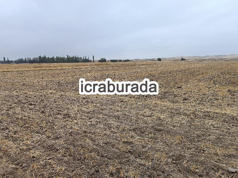 icralık  m2 Tarla Kayseri Yeşilhisar Doğanli