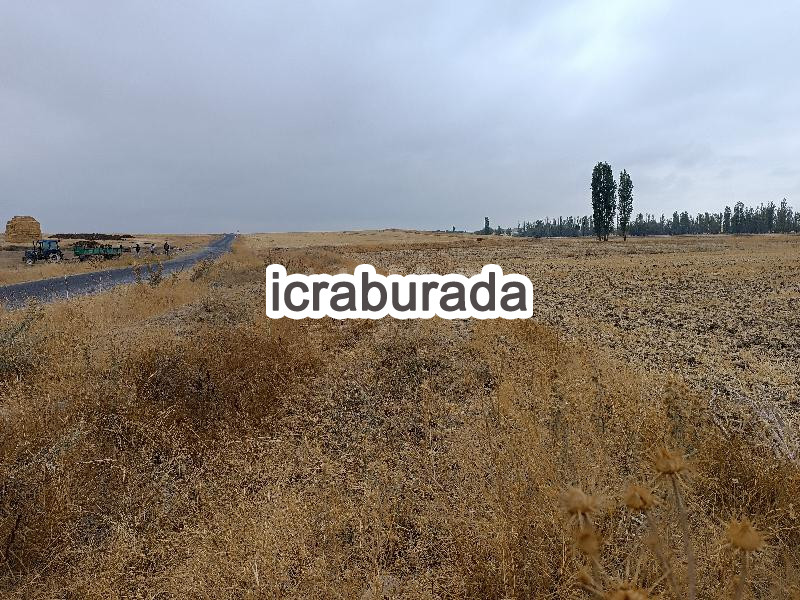 icralık  m2 Tarla Kayseri Yeşilhisar Doğanli