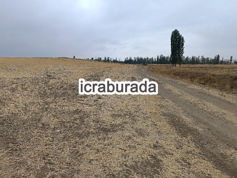 icralık  m2 Tarla Kayseri Yeşilhisar Doğanli