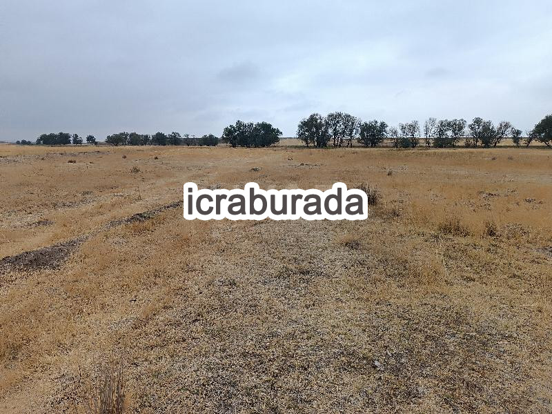 icralık  m2 Tarla Kayseri Yeşilhisar Doğanli