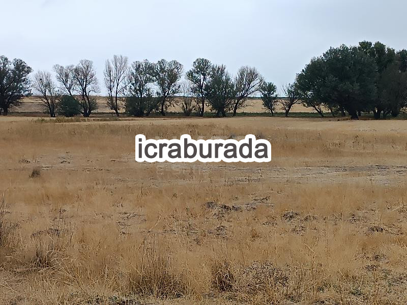 icralık  m2 Tarla Kayseri Yeşilhisar Doğanli