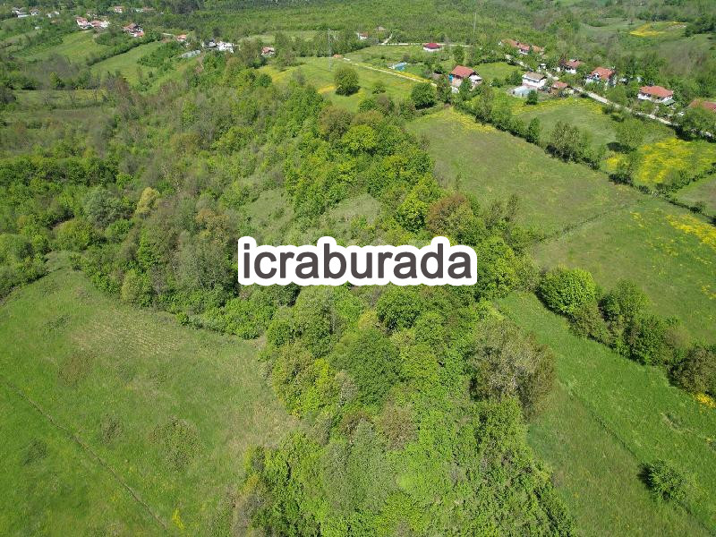 icralık  m2 Tarla Bartın Merkez Sütlüce