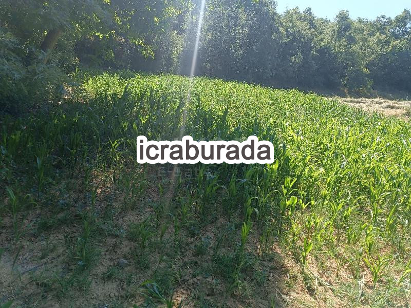 icralık  m2 Tarla Uşak Merkez Bozköy