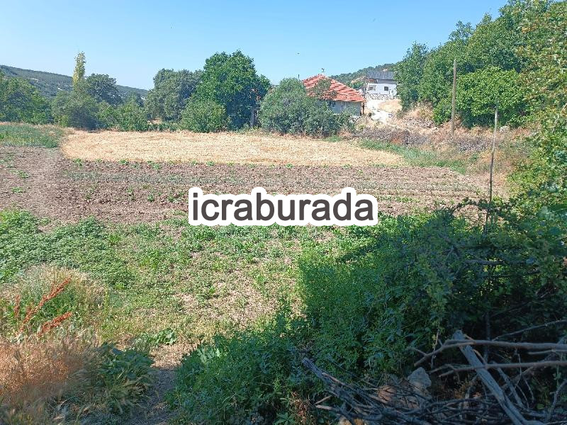 icralık  m2 Tarla Uşak Merkez Bozköy