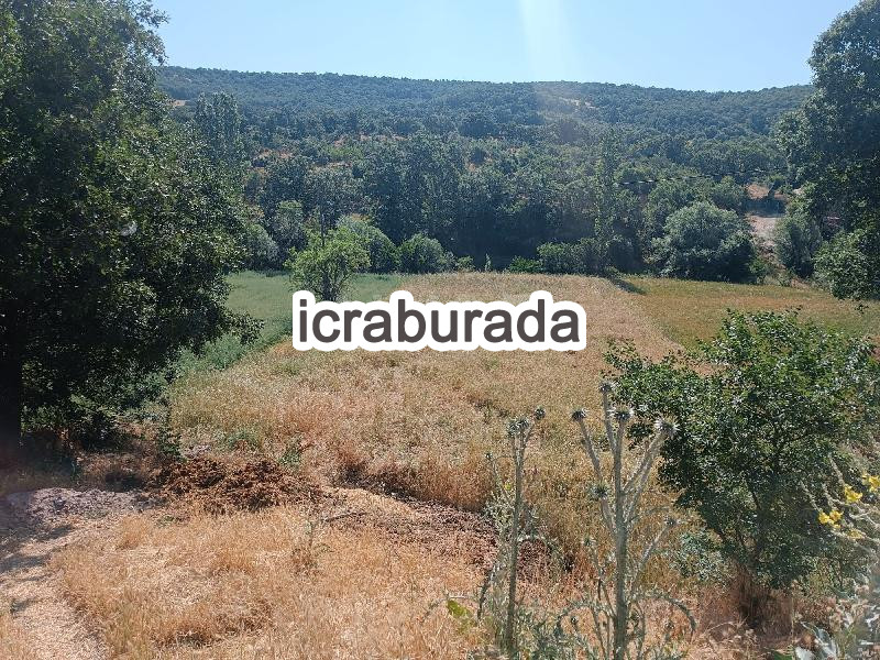 icralık  m2 Tarla Uşak Merkez Bozköy