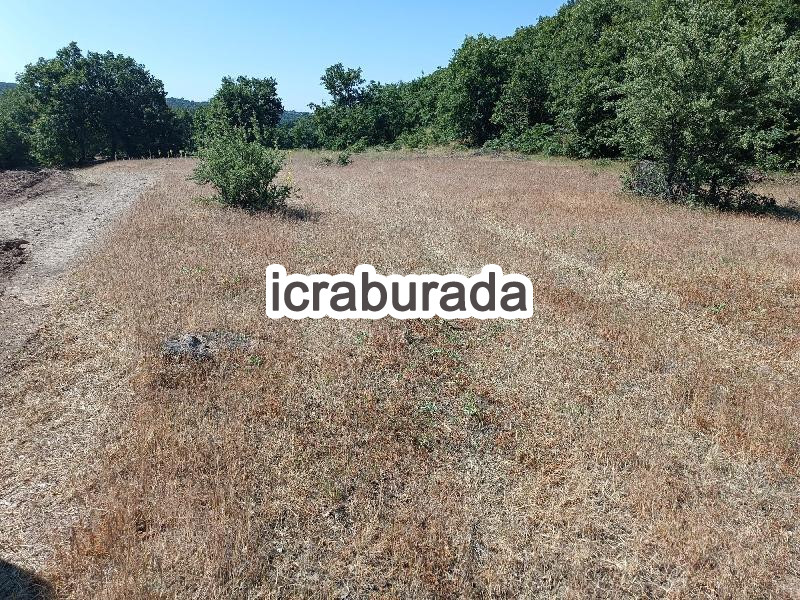 icralık  m2 Tarla Uşak Merkez Bozköy