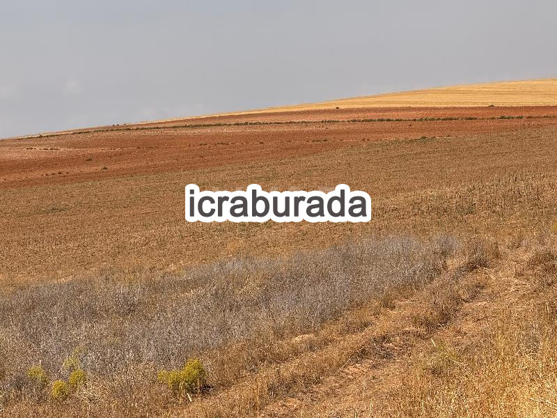 icralık  m2 Tarla Eskişehir Mahmudiye Balçikhisar