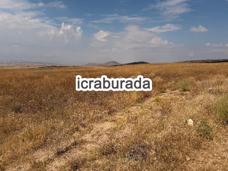 icralık  m2 Tarla Eskişehir Mahmudiye Balçikhisar