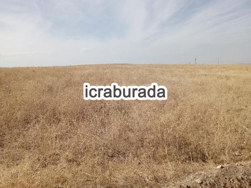 icralık  m2 Tarla Niğde Merkez Karatli