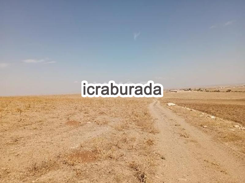 icralık  m2 Tarla Niğde Merkez Karatli