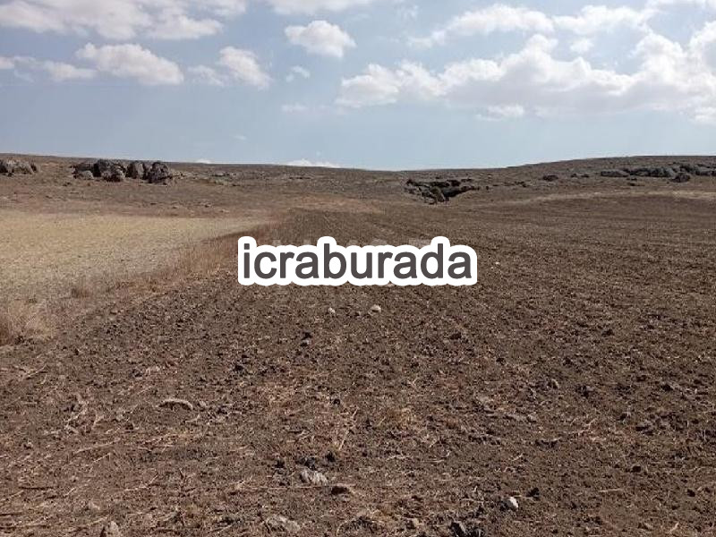 icralık  m2 Tarla Niğde Merkez Karatli