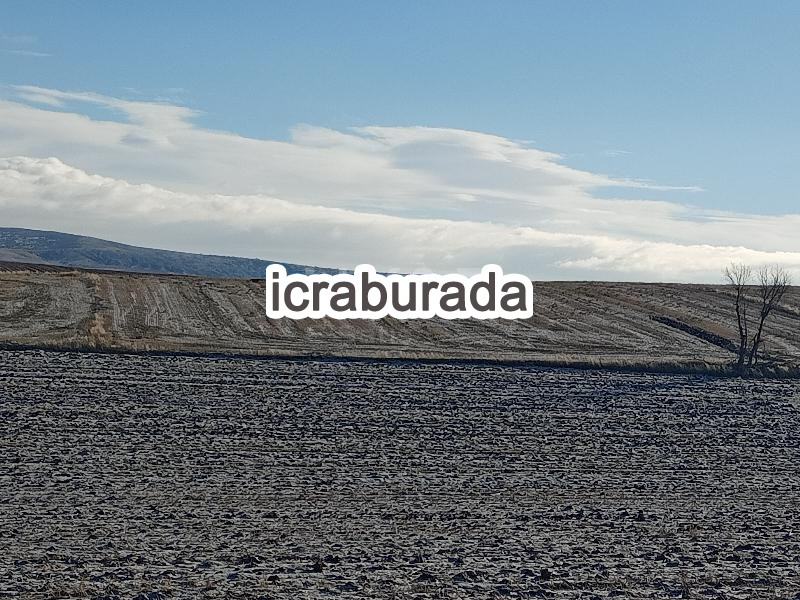 icralık  m2 Tarla Çorum Alaca Yenice