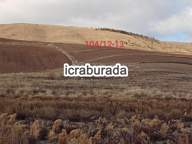 icralık  m2 Tarla Çorum Alaca Yenice